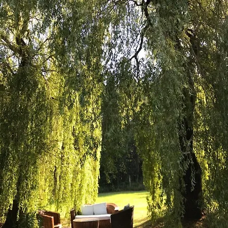 Waldhotel Stein 사이비츠