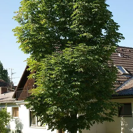 Waldhotel Stein Hotel